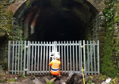 Ecologist support for Balfour Beatty tunnel examinations