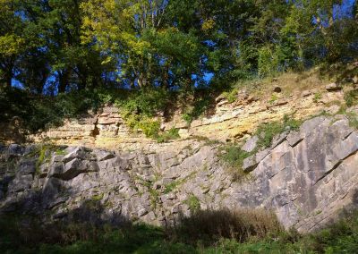 Local Geological Site Review