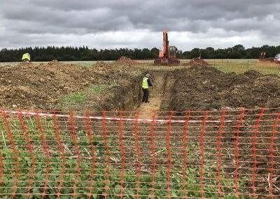 Strawberry Bank Dig