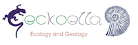 Geckoella Ltd