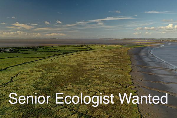 Vacancy for Exceptional Senior Ecologist