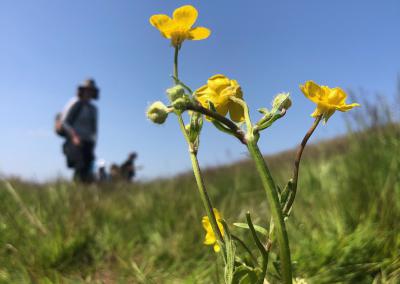 Botanical Training brings a Flurry of FISC Accreditations