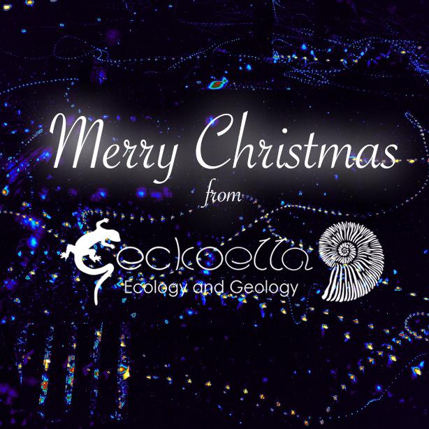 Geckoella 12 Celebrations of Christmas