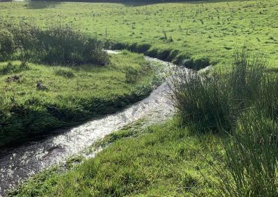 Nature recovery and MoRPh Survey in East Devon