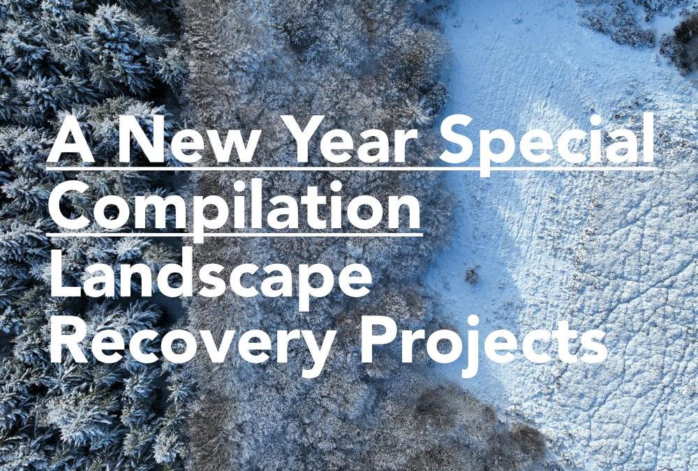 Geckoella’s Landscape Recovery Projects