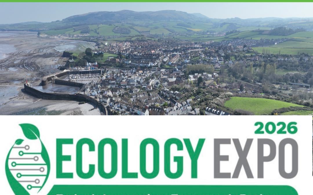 Geckoella at Ecology Expo UK with POPO