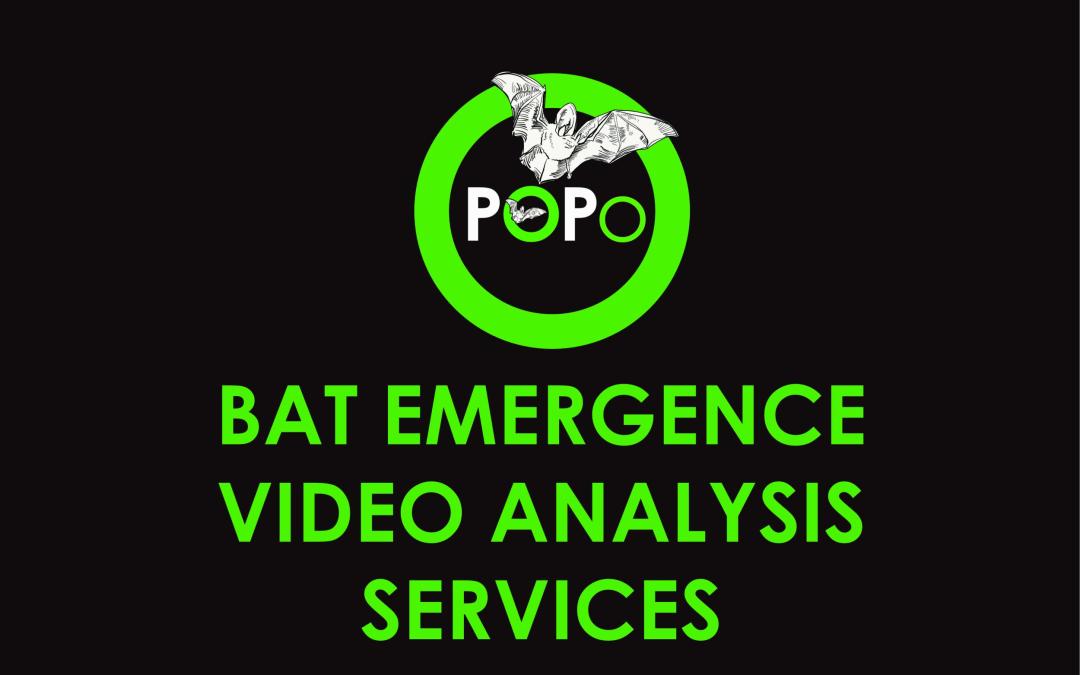 Introducing POPO – Bat Emergence Video Analysis Service