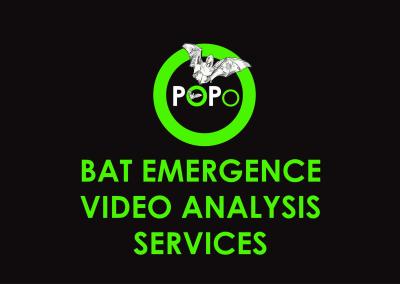 Introducing POPO – Bat Emergence Video Analysis Service