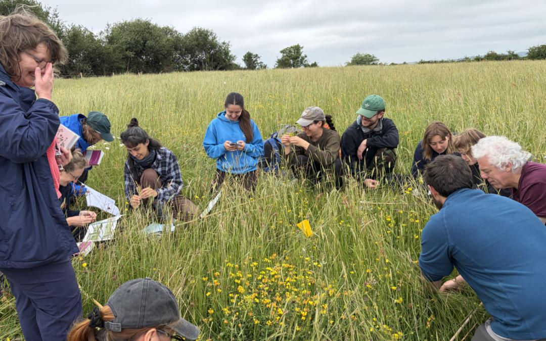 Botanical Training at Barrington Hill Meadows NNR – joint event with Abricon